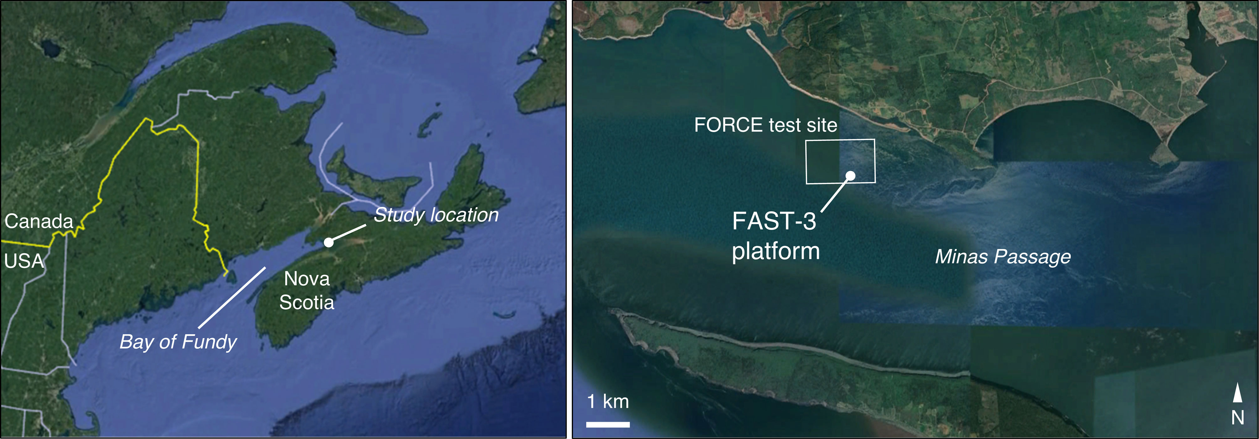 www.frontiersin.org