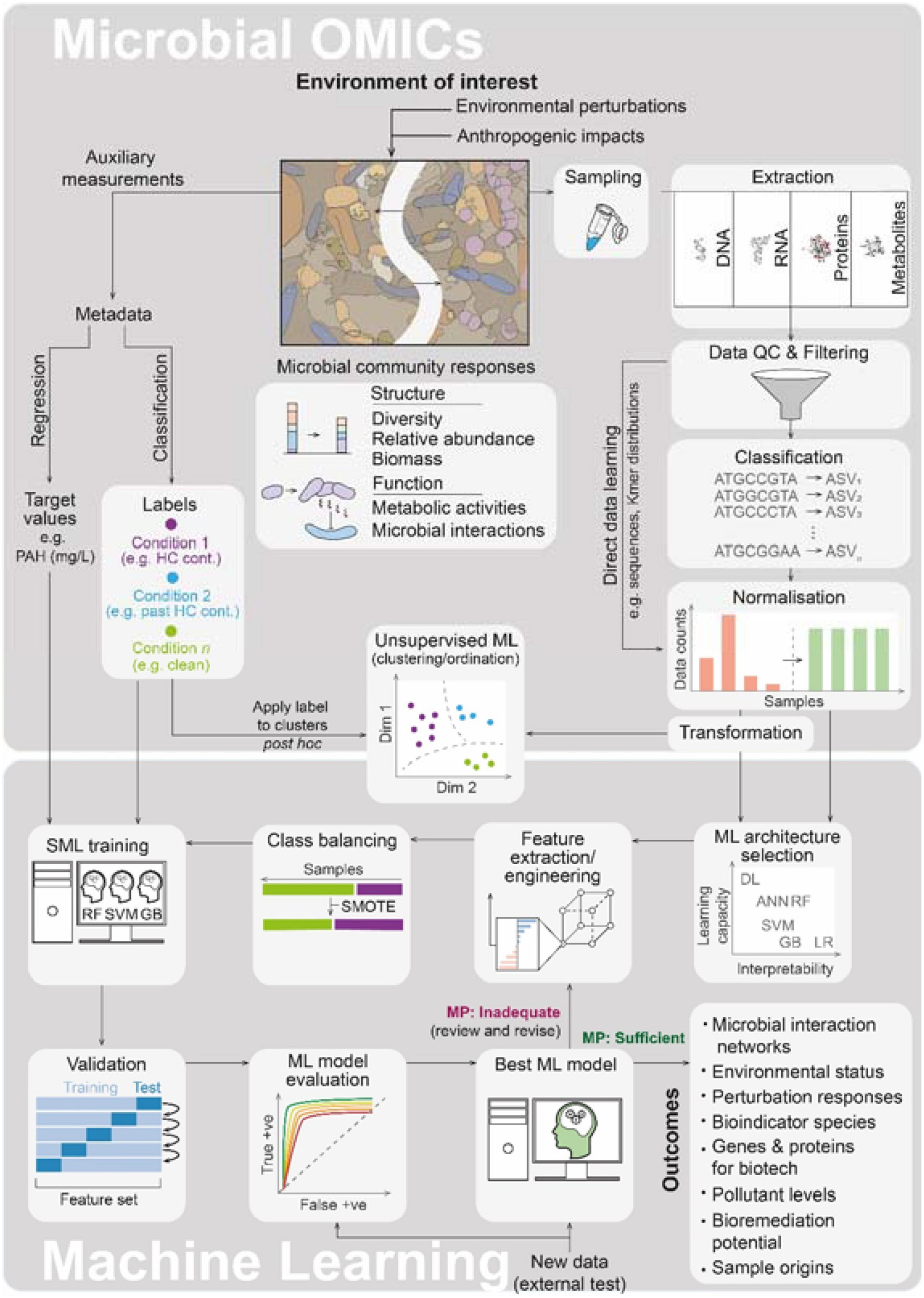 Toward sustainable space exploration: a roadmap for harnessing the power of  microorganisms