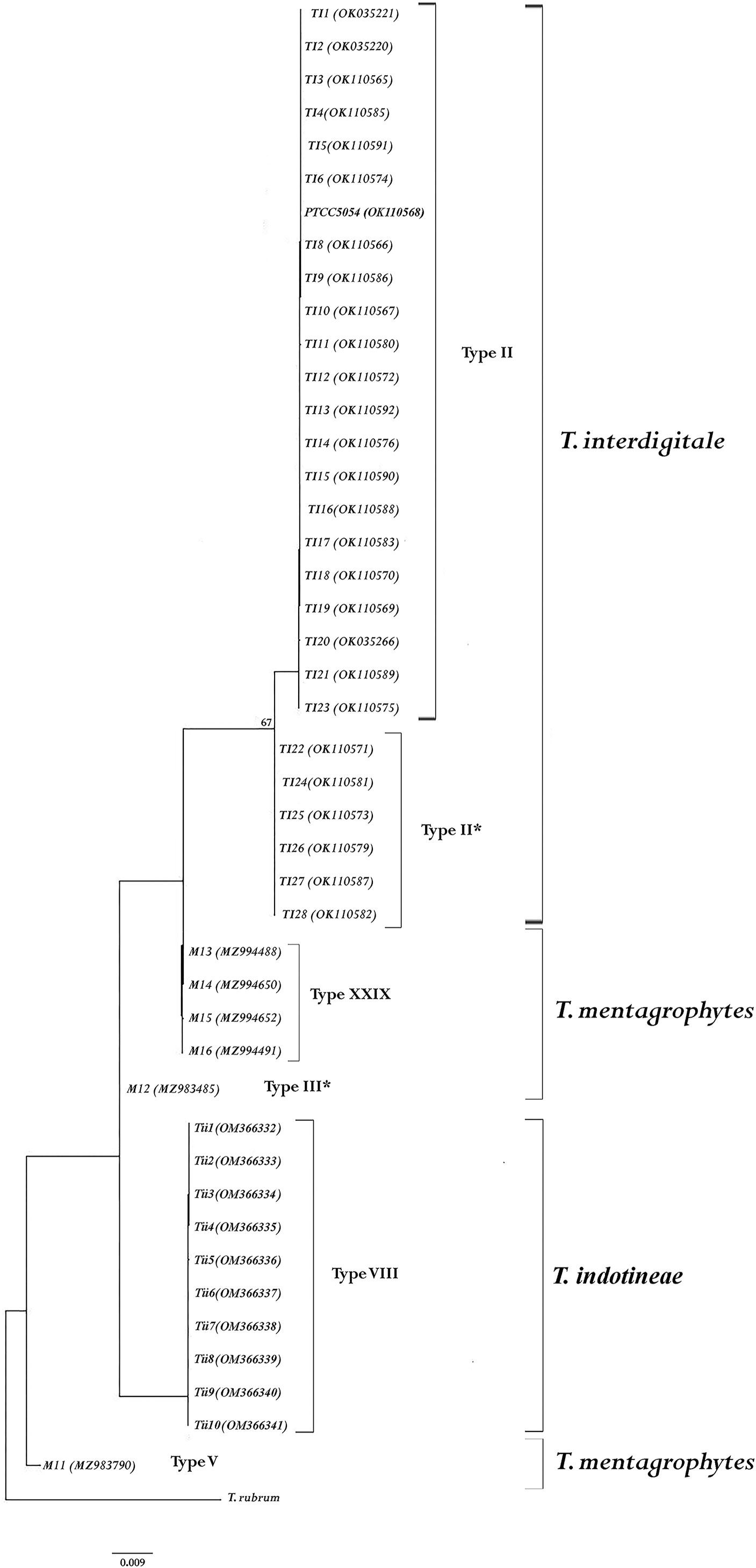 Tinea unguium: etiology, clinical manifestation, diagnosis and treatment -  Online Biology Notes