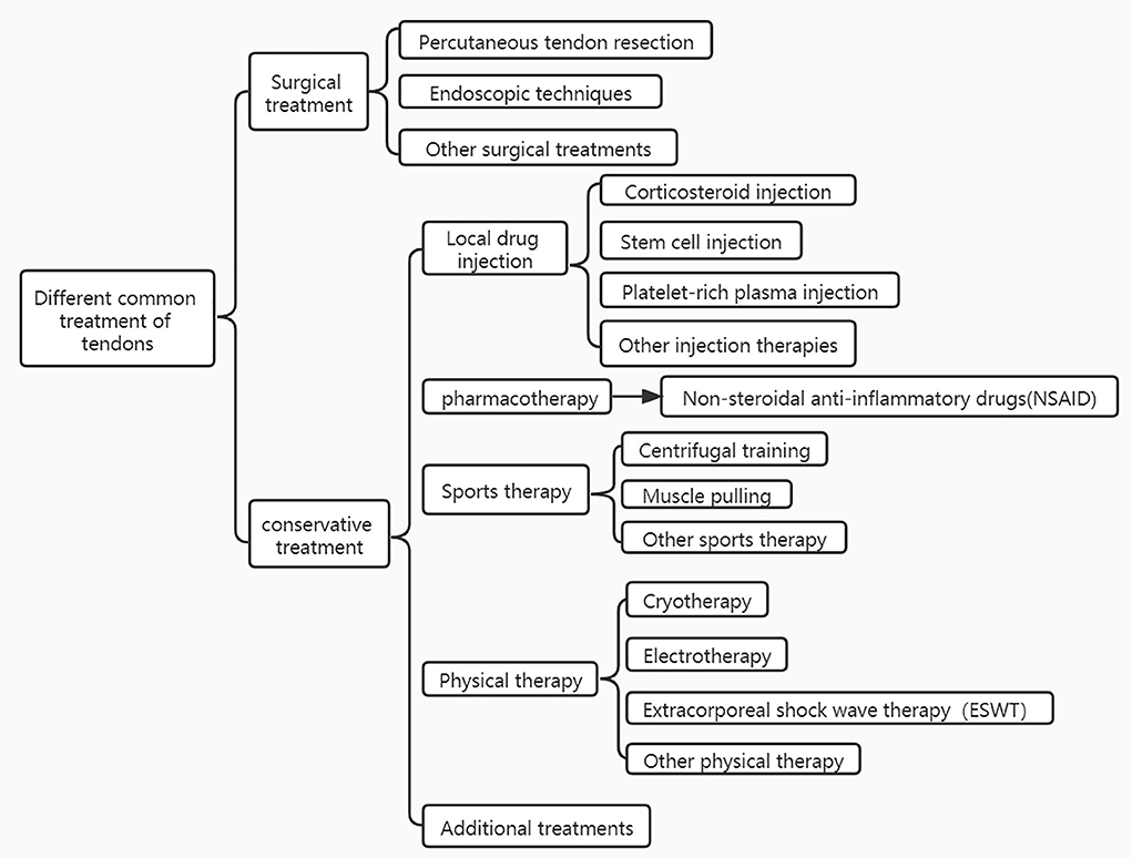 Patellar Tendinitis and Tendon Pain: Maximizing Recovery – Chief Nutrition