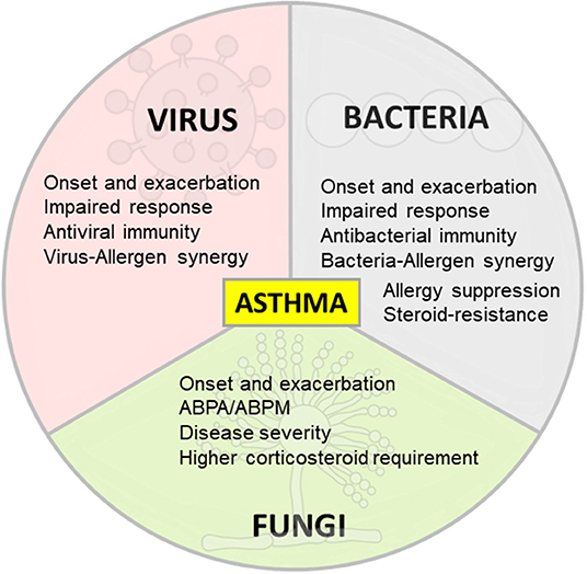 Frontiers  Impact of Therapeutics on Unified Immunity During