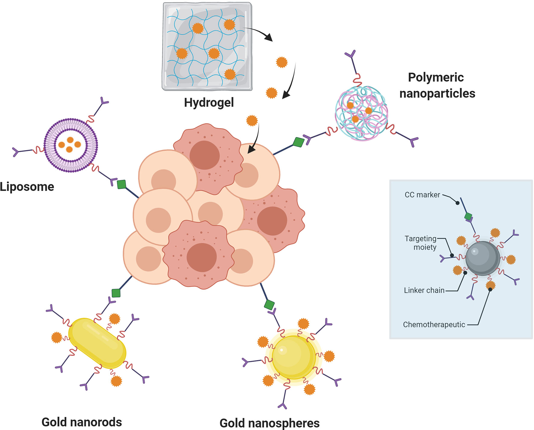 Frontiers | Glycoconjugate Nanoparticle-Based Systems in Cancer ...