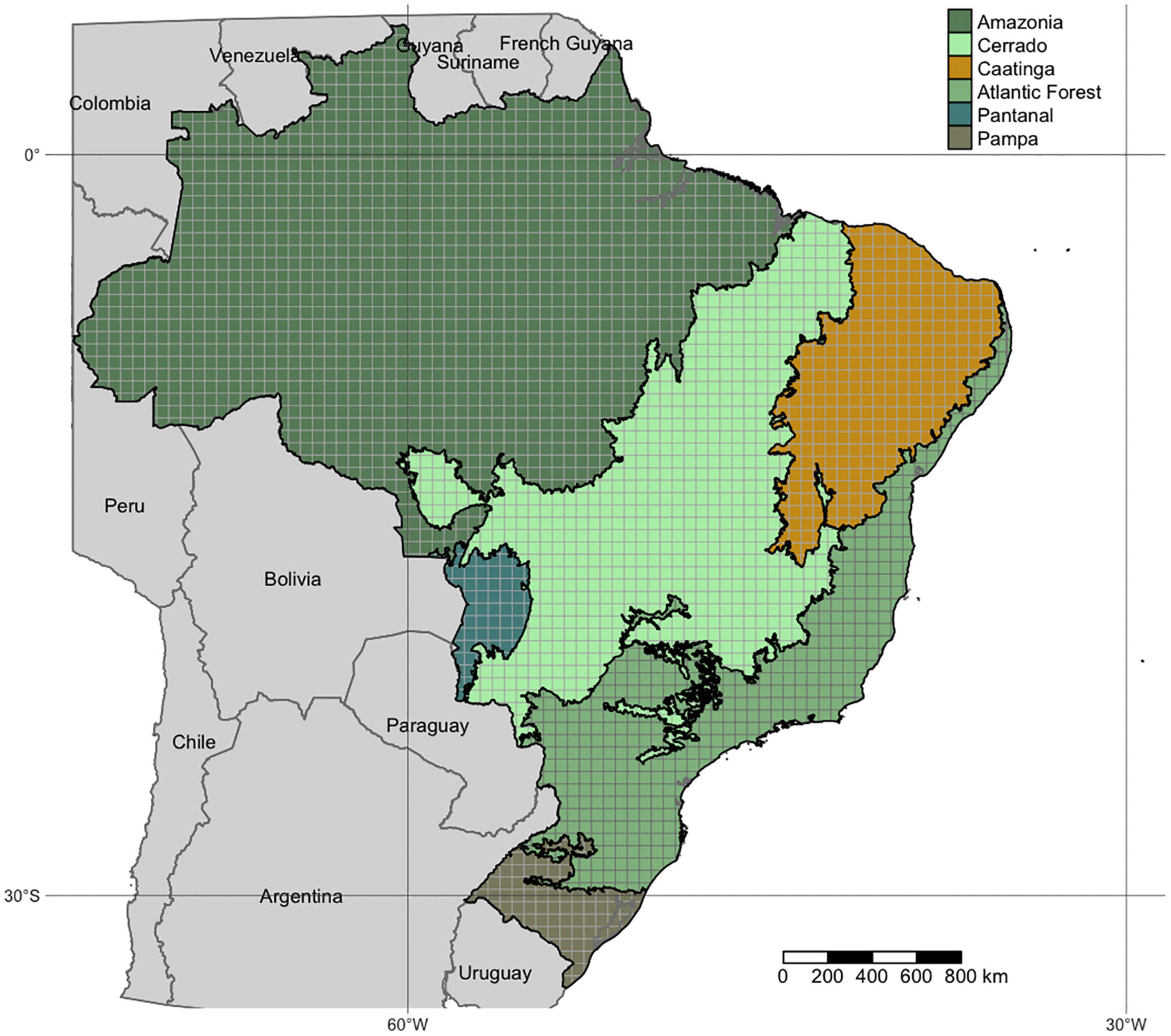 Map of Brazil showing the  and Cerrado biomes with remnant