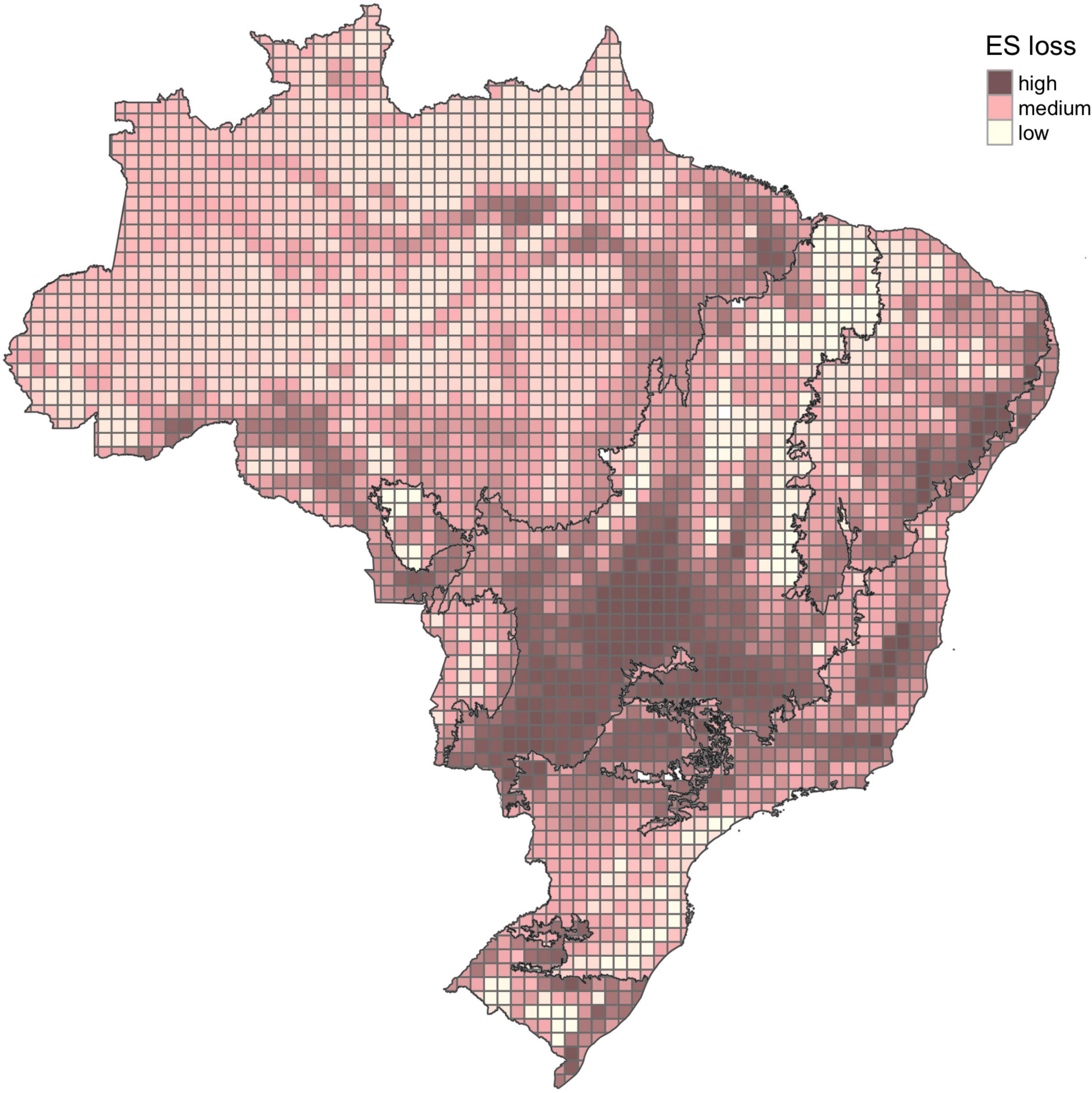 Frontiers  Ecosystems Services Provided by Bats Are at Risk in Brazil