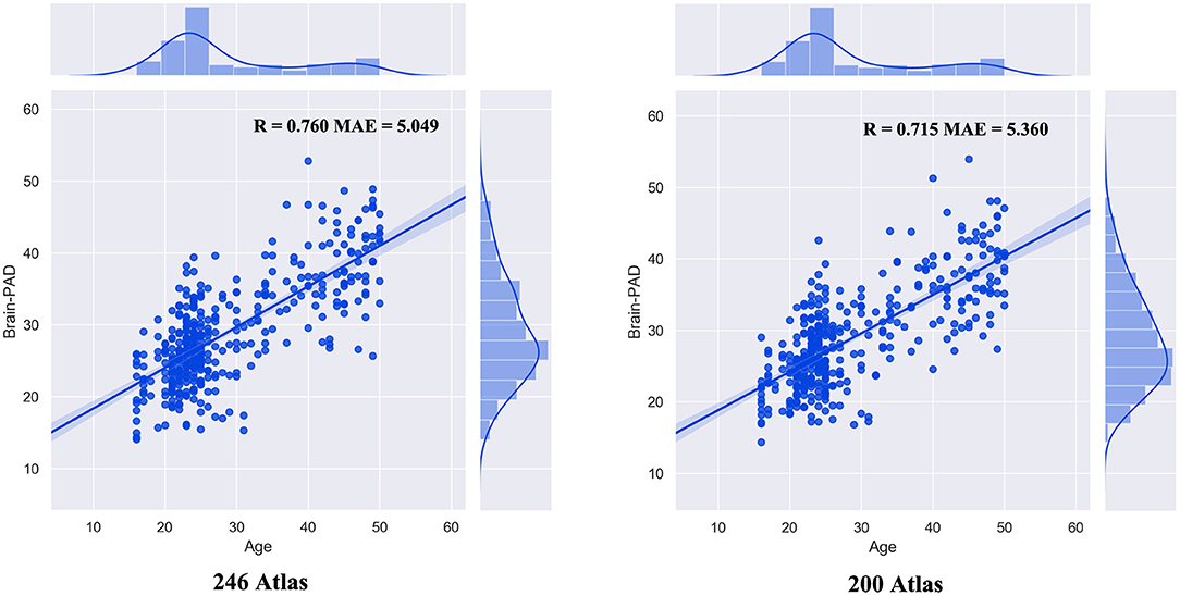 Brain aging in major depressive disorder: results from the ENIGMA