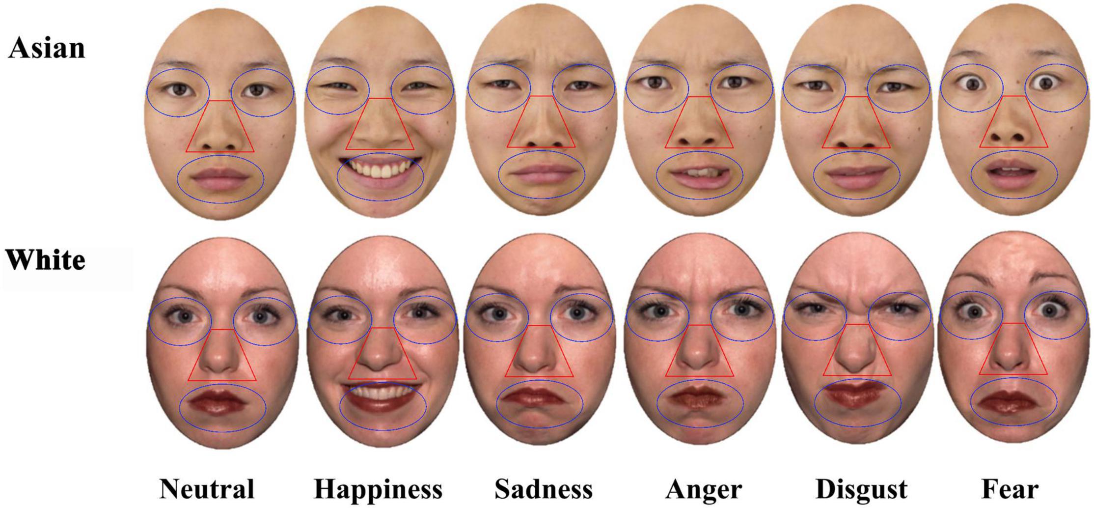 Facial expressions—including fear—may not be as universal as we