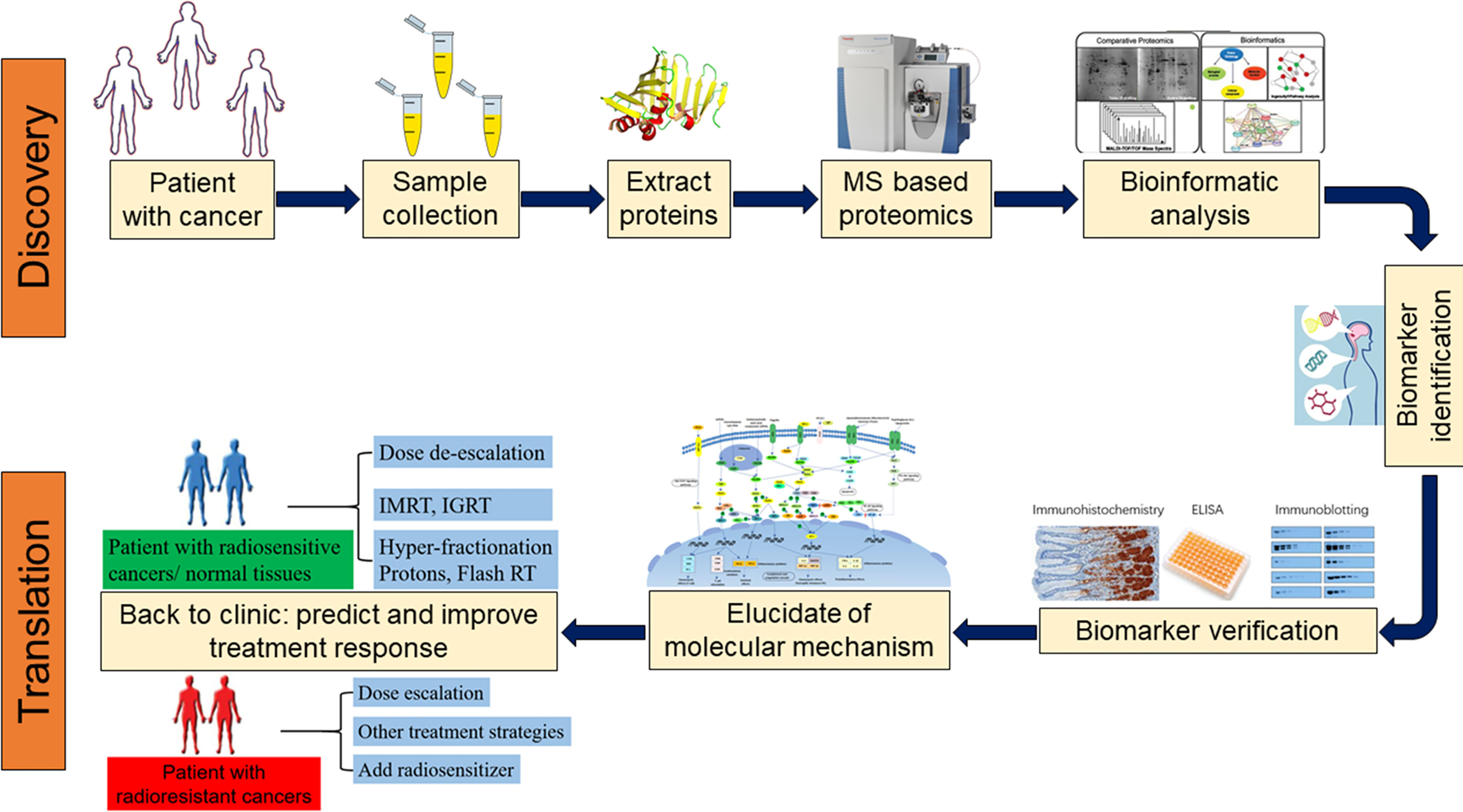 Frontiers Application Of Proteomics In The Discovery Of 