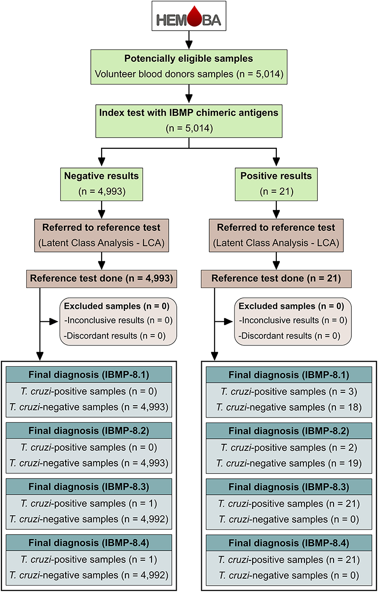 Frontiers  Trypanosoma cruzi Genomic Variability: Array