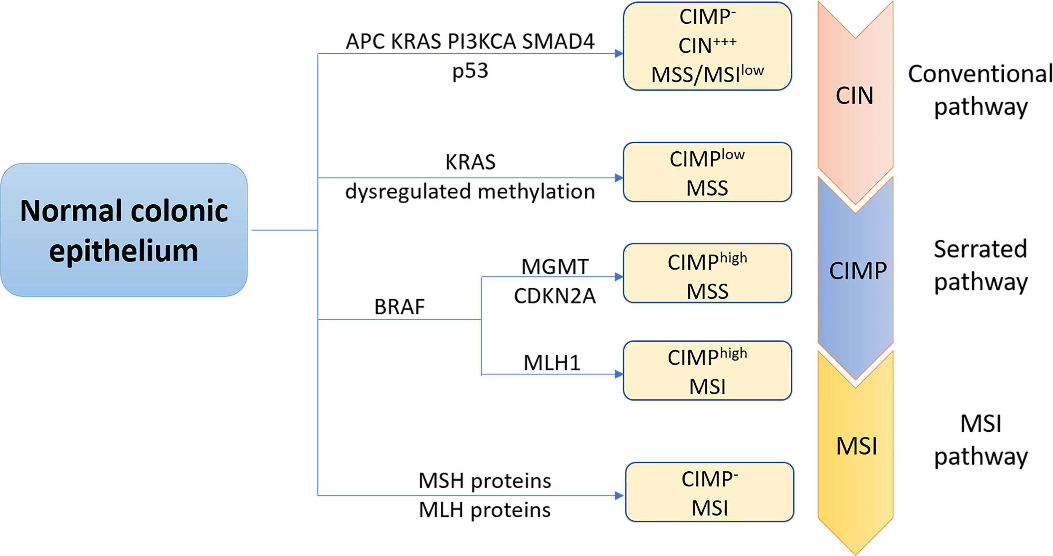 Molecular signatures of inherited and acquired sporadic late onset