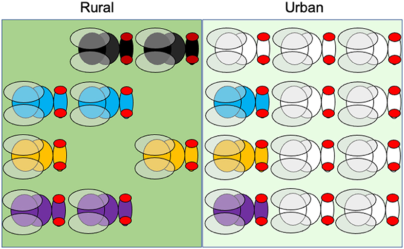 Figure 2 - Four species of flies are found in both areas.