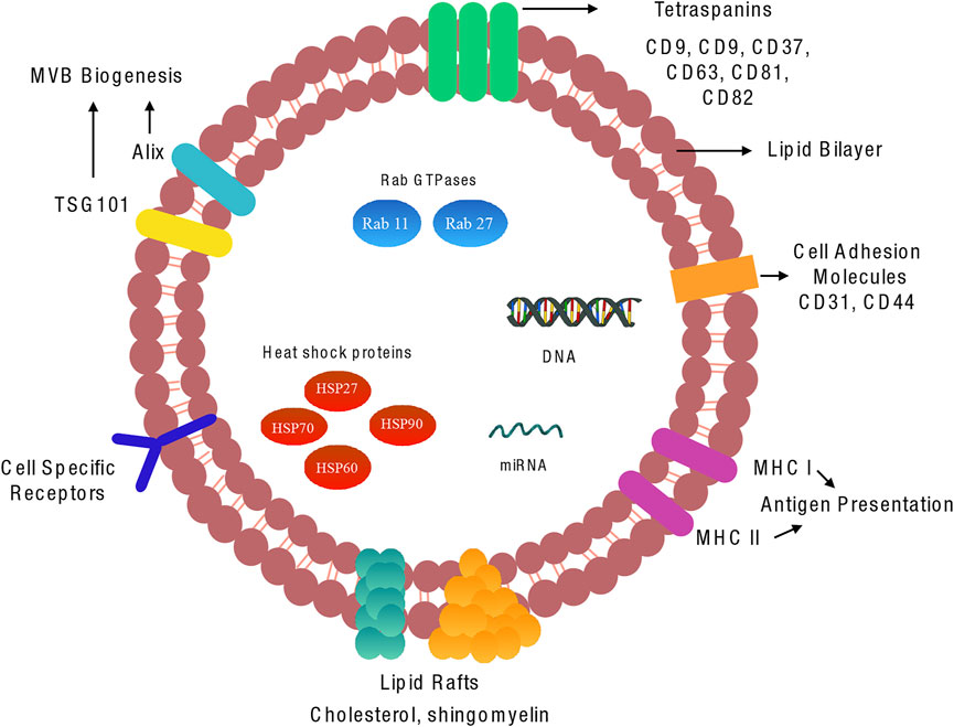 Advanced Point‐of‐Care Testing Technologies for Human Acute