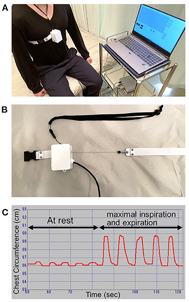 thoracic excursion test