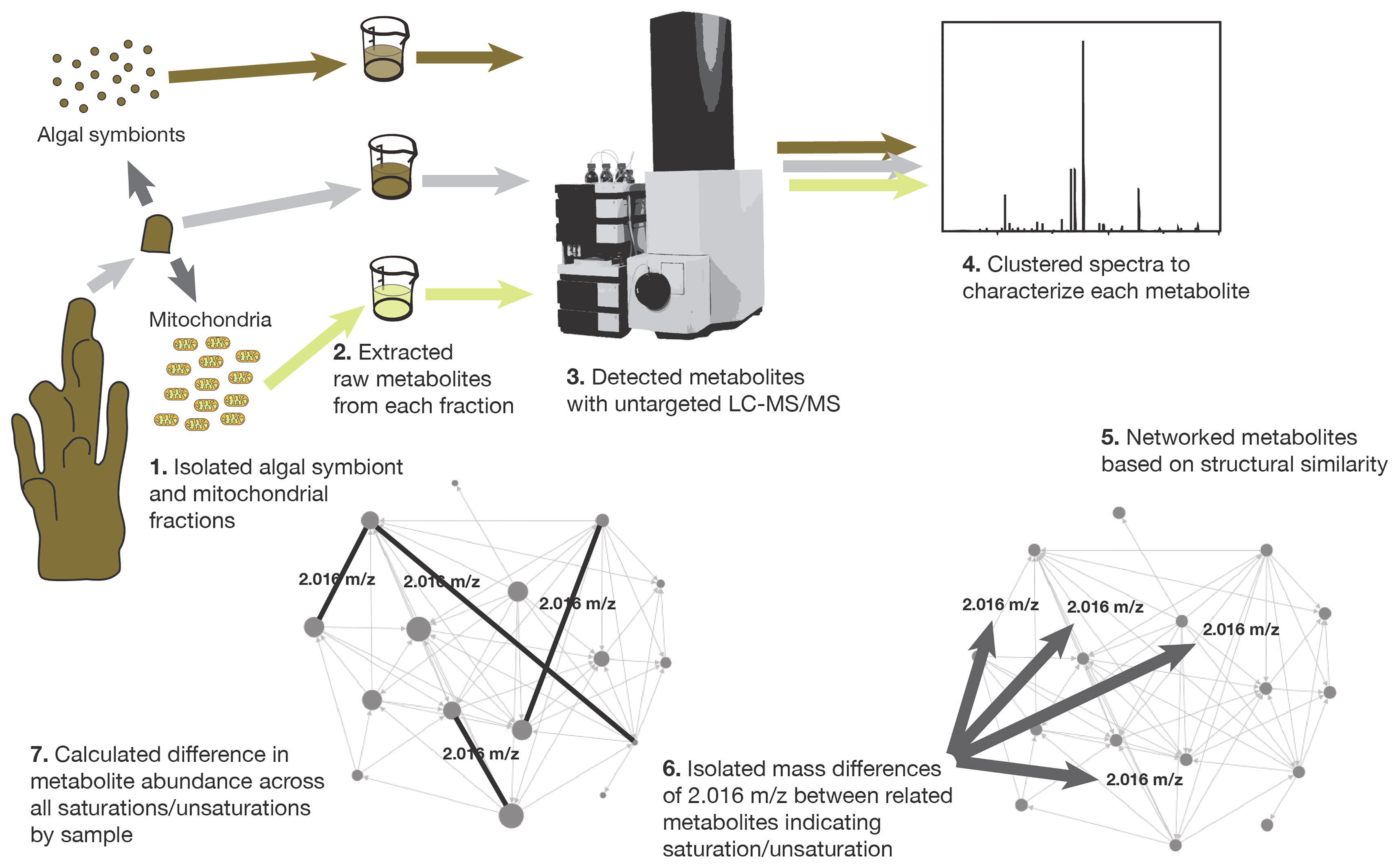 PDF) Proceedings of LABS8, the 8th Latin American Biodeterioration and  Biodegradation Symposium