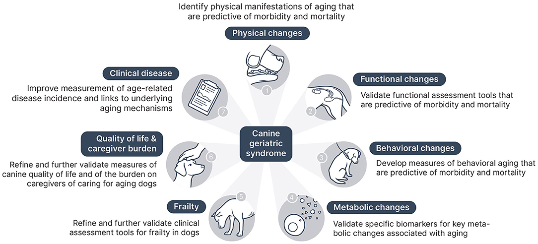 Nine Major Nursing Misconceptions