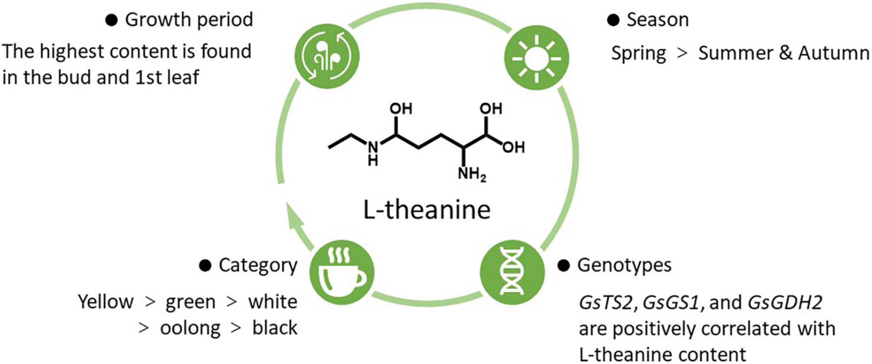 Full article: Different Generating Mechanisms for the Summer