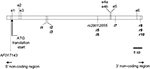 www.frontiersin.org
