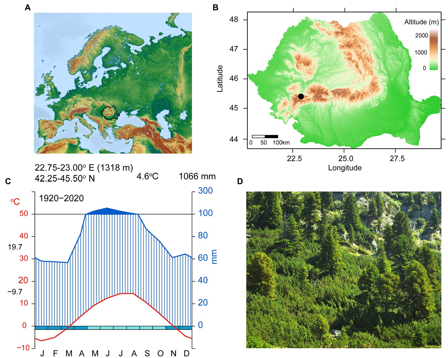 Under a Green Sky: Global Warming, by Ward, Peter D.