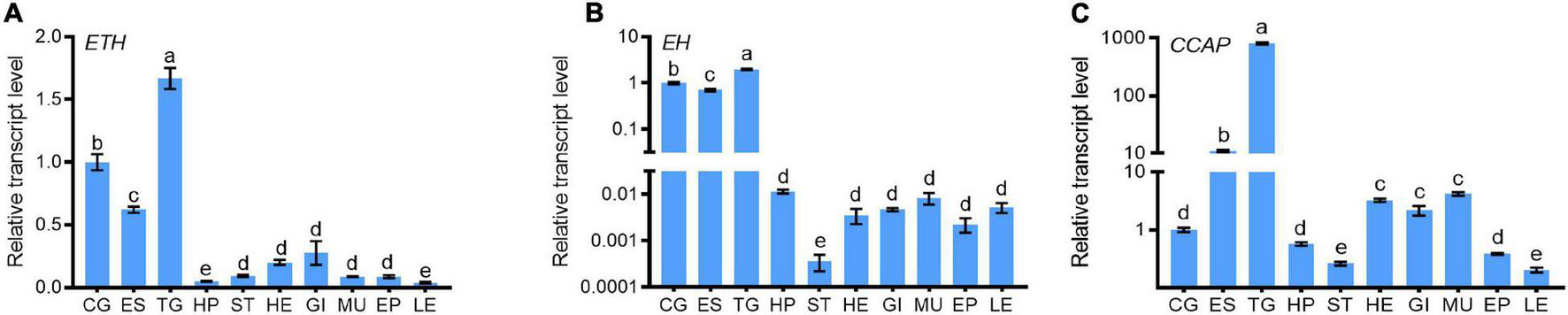 FIGURE 1