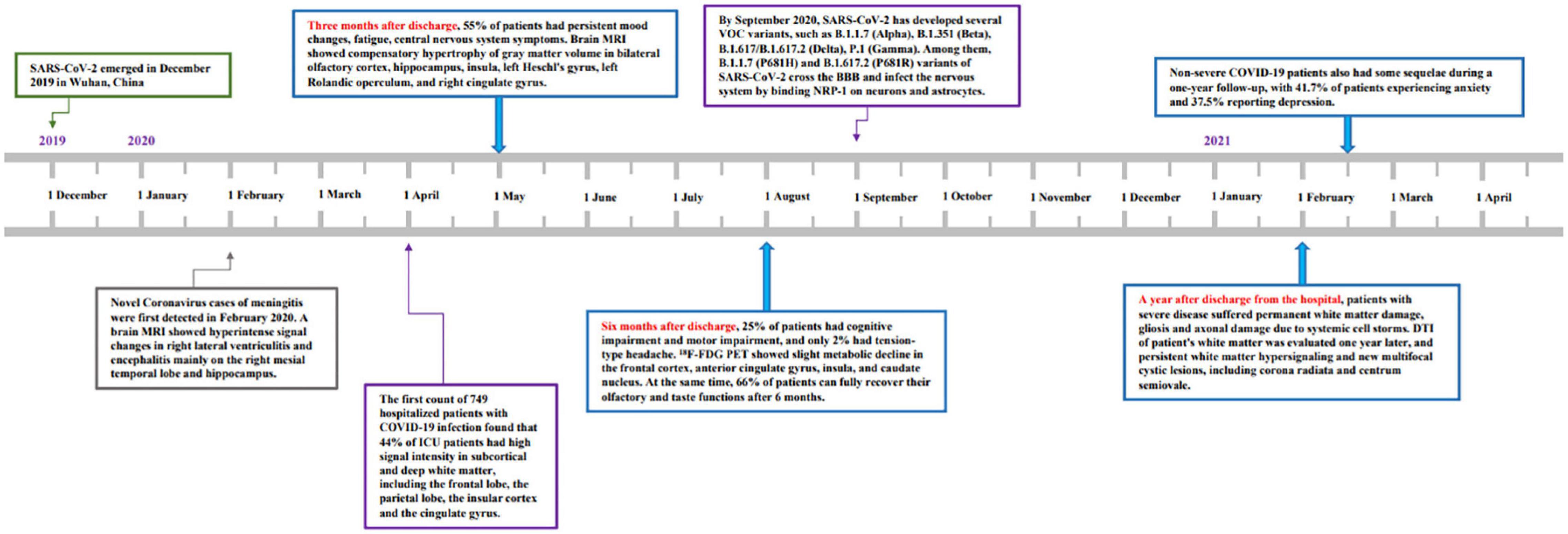 Frontiers  Cognitive impairment after long COVID-19: current evidence and  perspectives