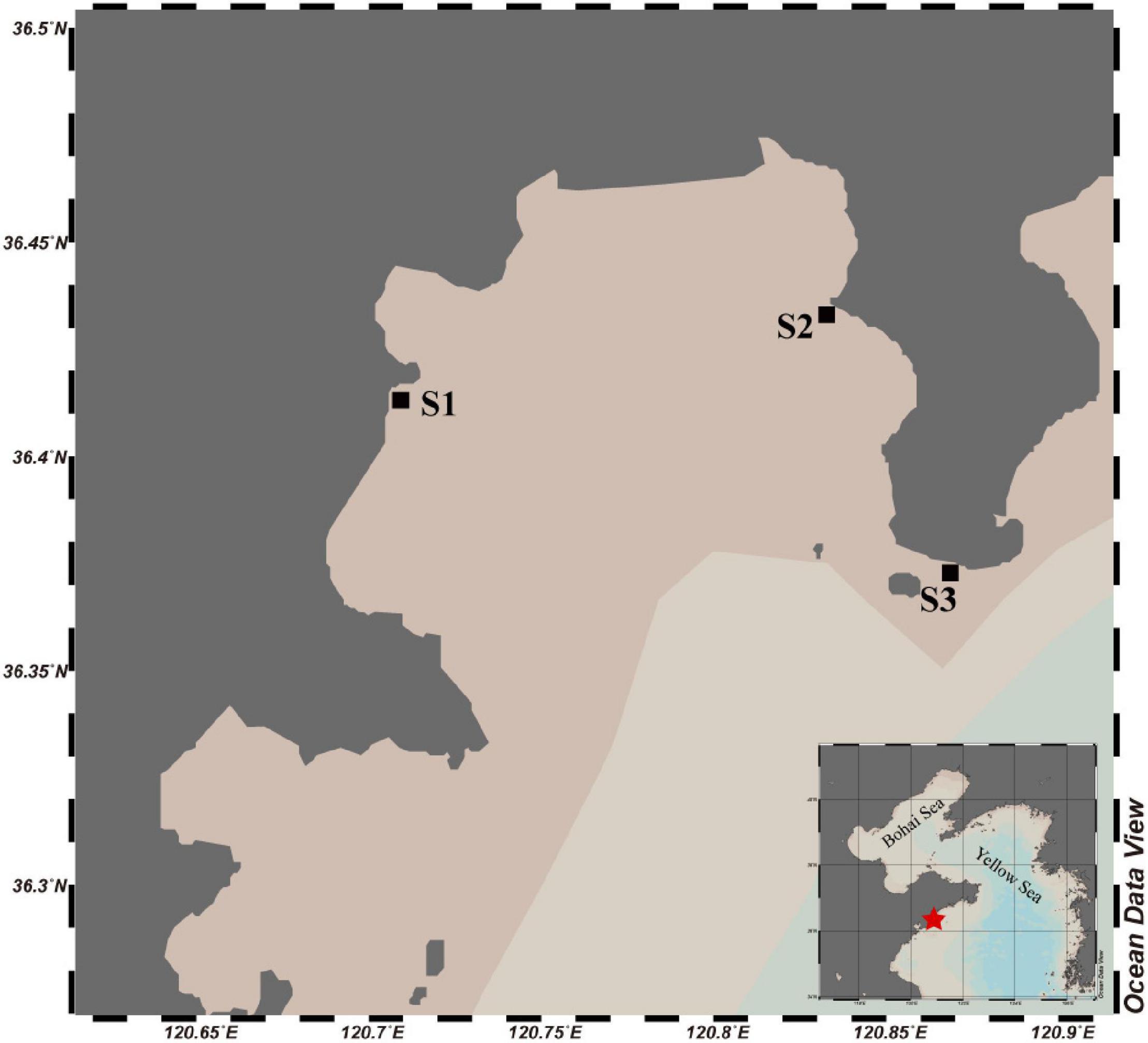 www.frontiersin.org