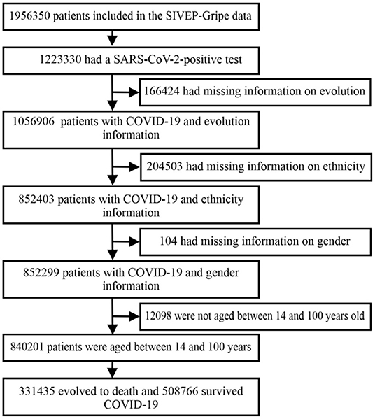 Understanding COVID-19 in Brazil: Socioeconomic Impacts, Statistical  Analysis and Future Challenges