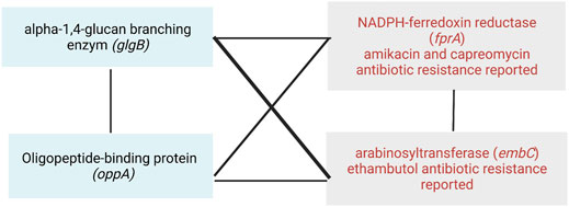 www.frontiersin.org