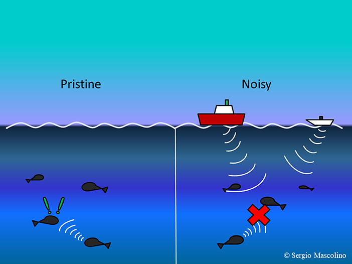 Figure 3 - Noise pollution can interfere with the communication of underwater animals.