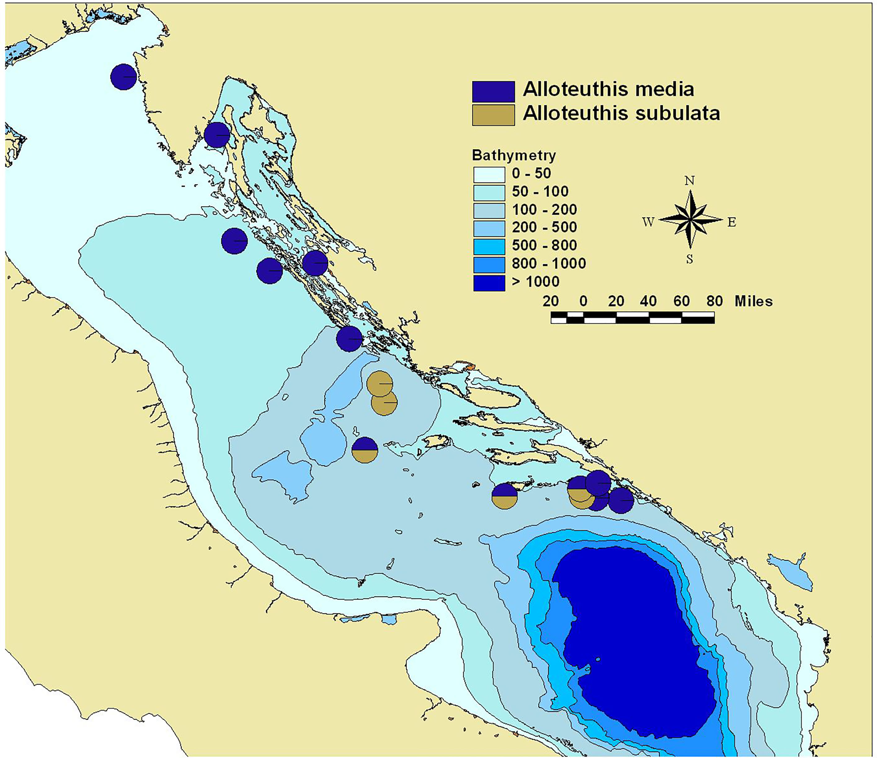 World map of the FAO major fishing areas with pie charts inset