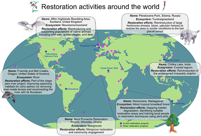 图1 -世界各地都在进行生态系统恢复项目。