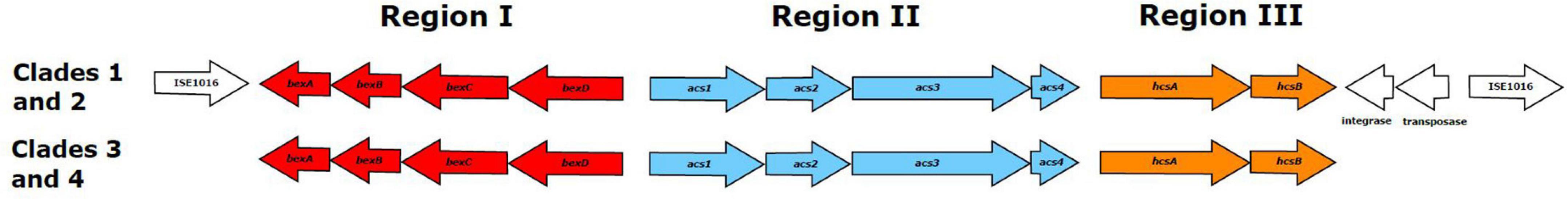 www.frontiersin.org