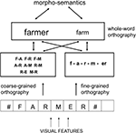 www.frontiersin.org