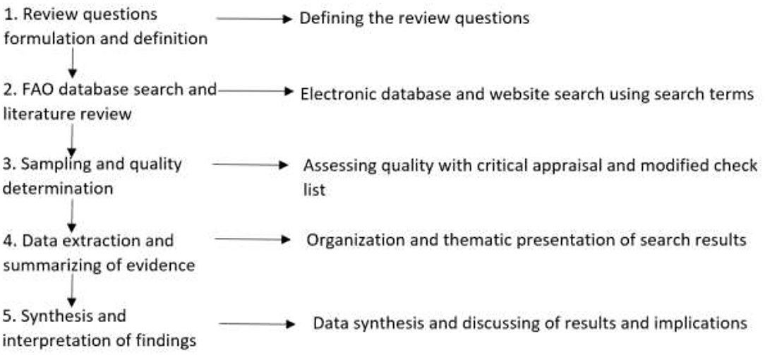 literature review of yam