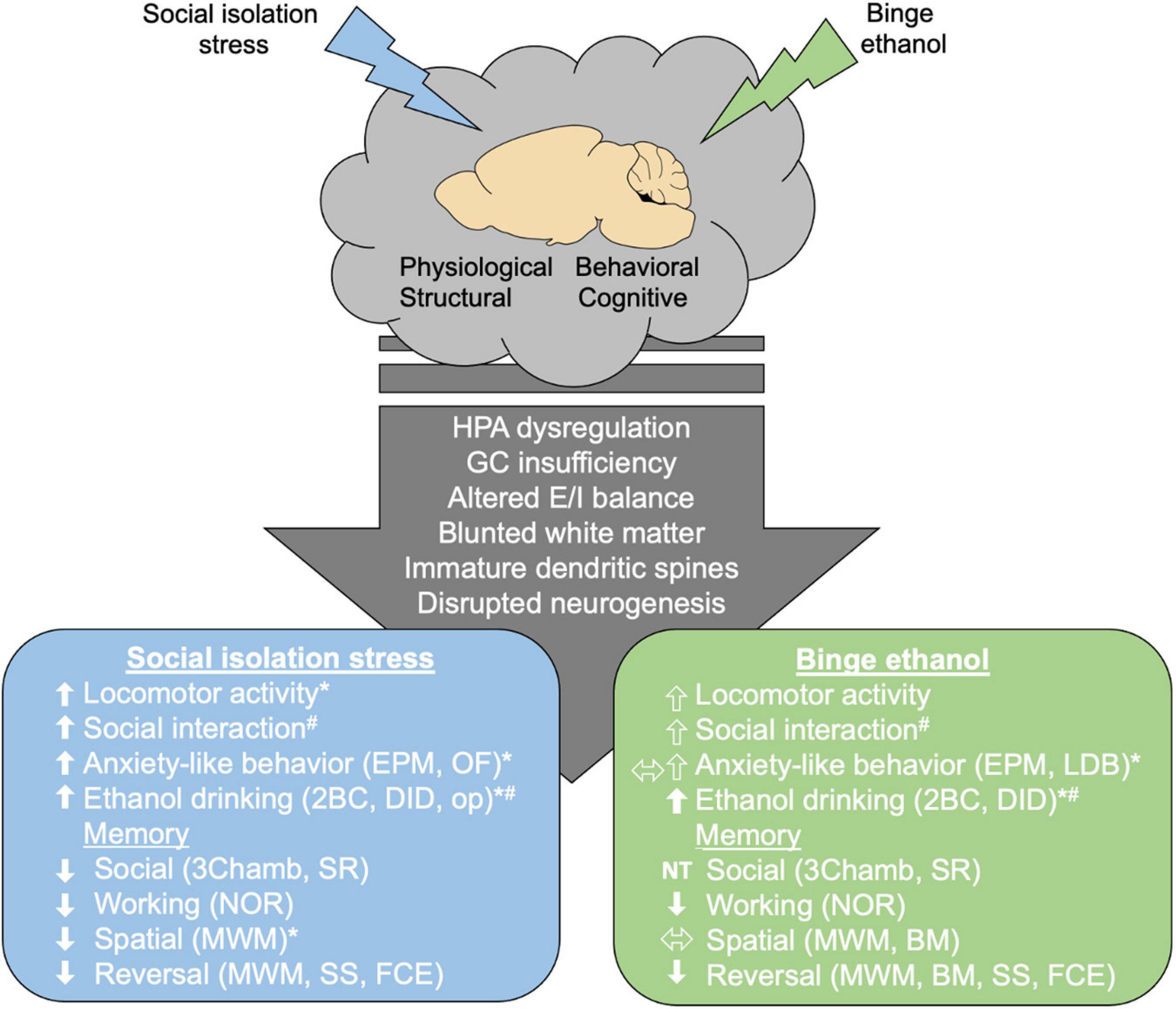 | Areas of and Divergence in Adolescent Social Isolation and Binge Drinking: Review