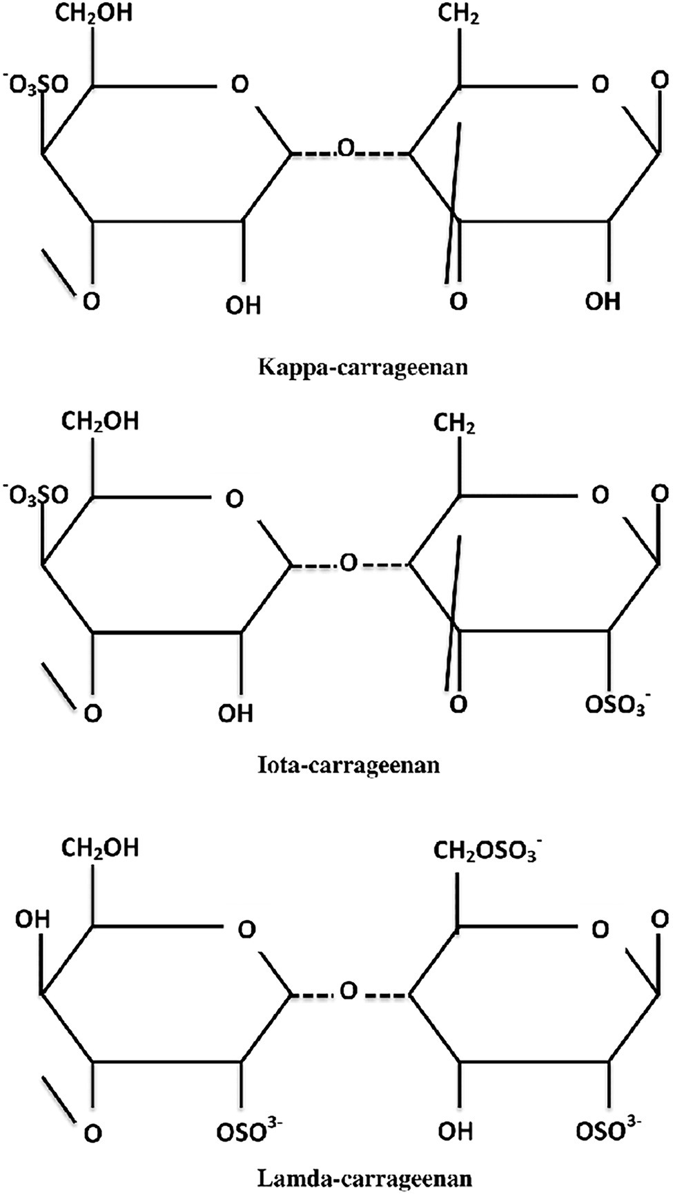 Carrageenan From (Rhodophyta, Solieriaceae): Metabolism, Structure, Production, and Application