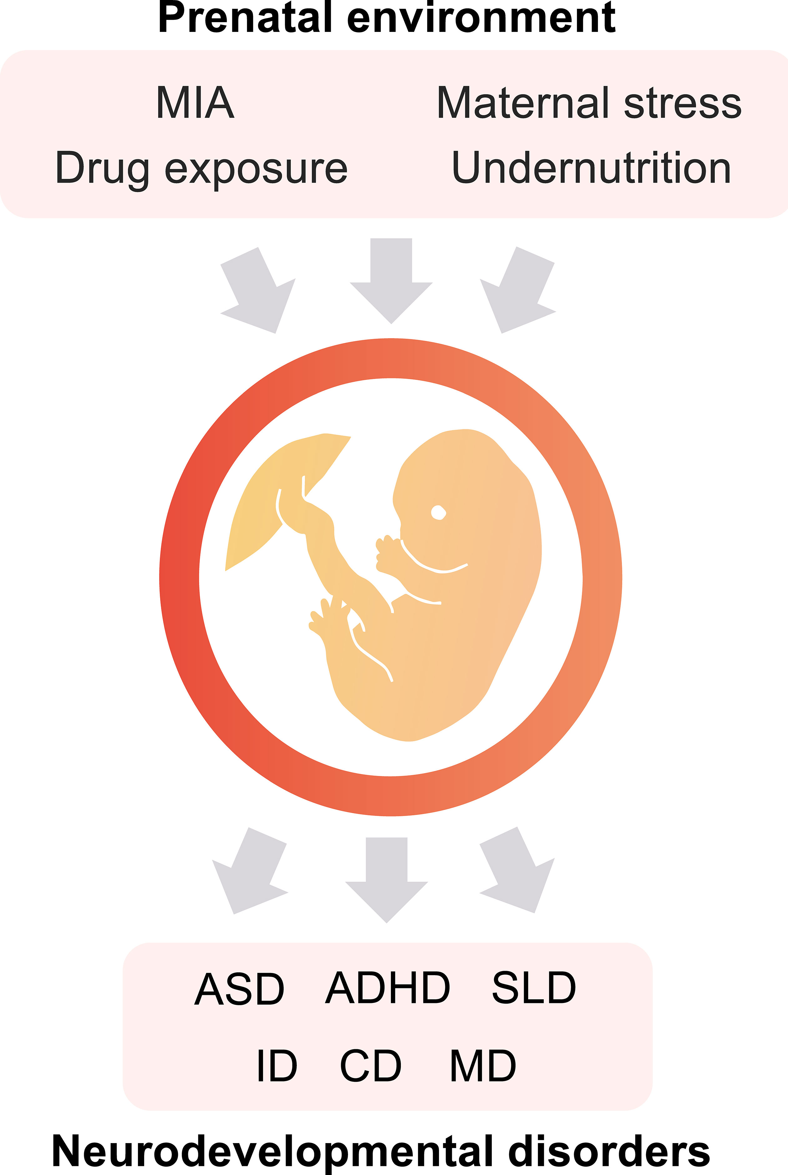 Pre-pregnancy complications - associated factors and wellbeing in