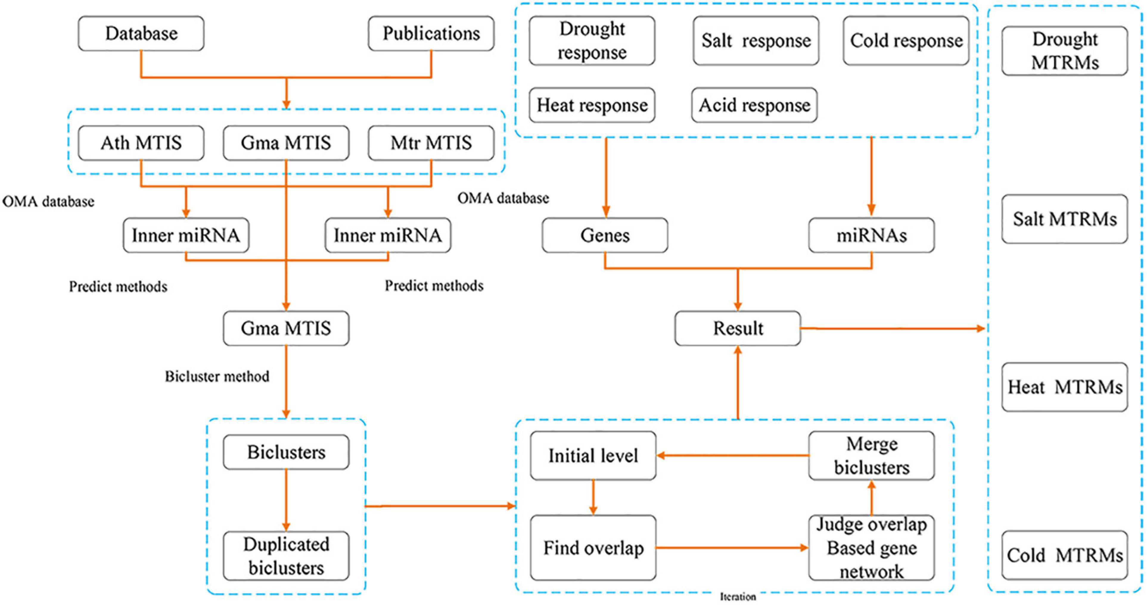 Frontiers | A Multi-Level Iterative Bi-Clustering Method for 