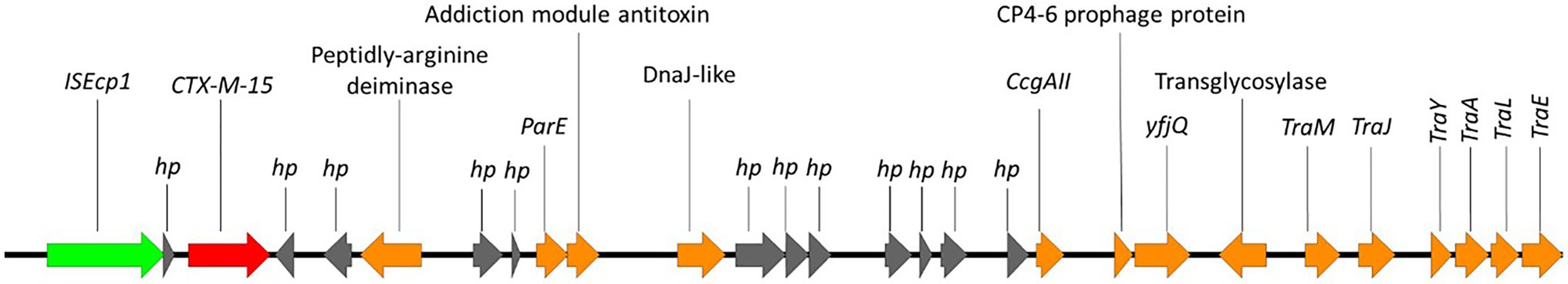 www.frontiersin.org