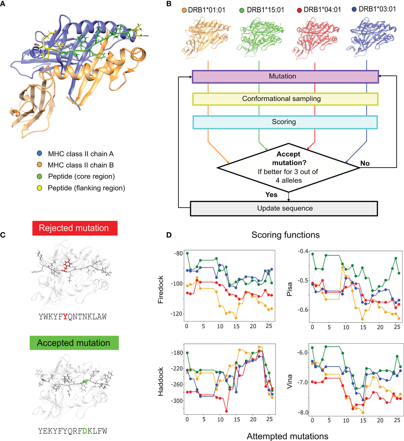 Frontiers  Multiple-Allele MHC Class II Epitope Engineering by a Molecular  Dynamics-Based Evolution Protocol