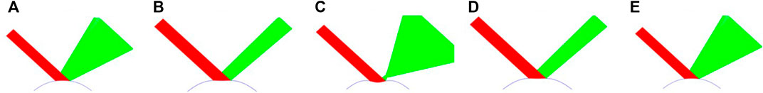 www.frontiersin.org