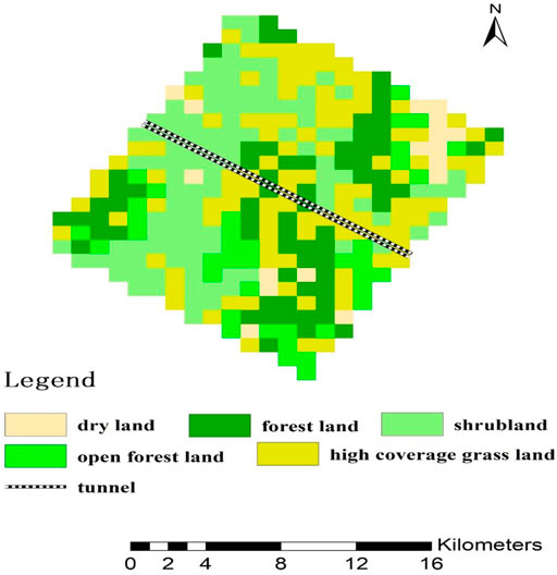 Frontiers | Spatiotemporal Impact on Vegetation by Tunnel 