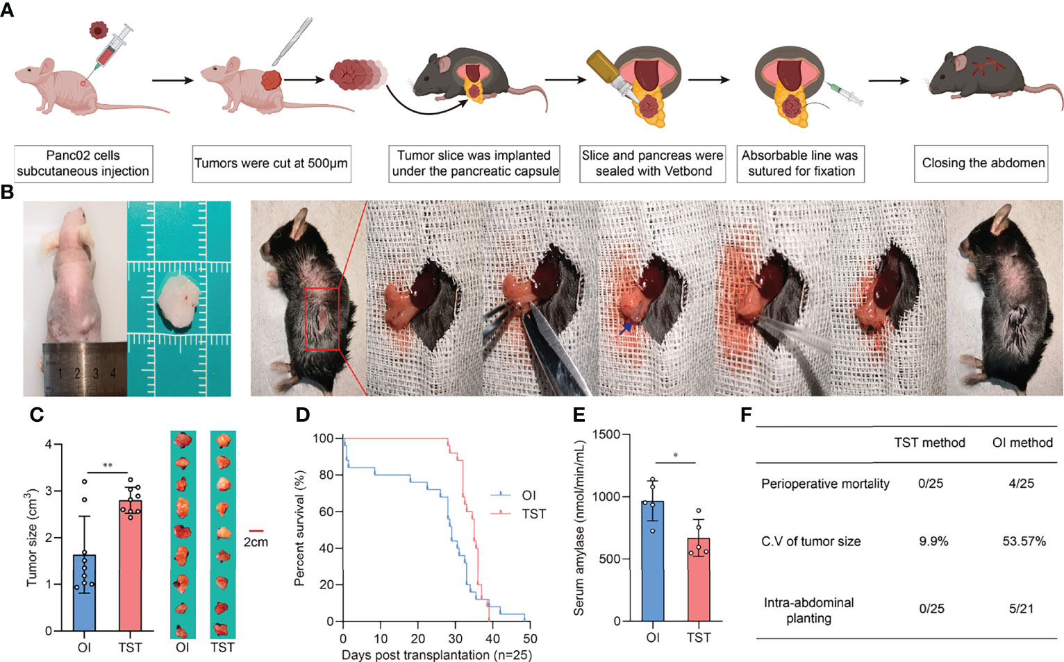 Frontiers | Orthotopic and Heterotopic Murine Models of Pancreatic ...