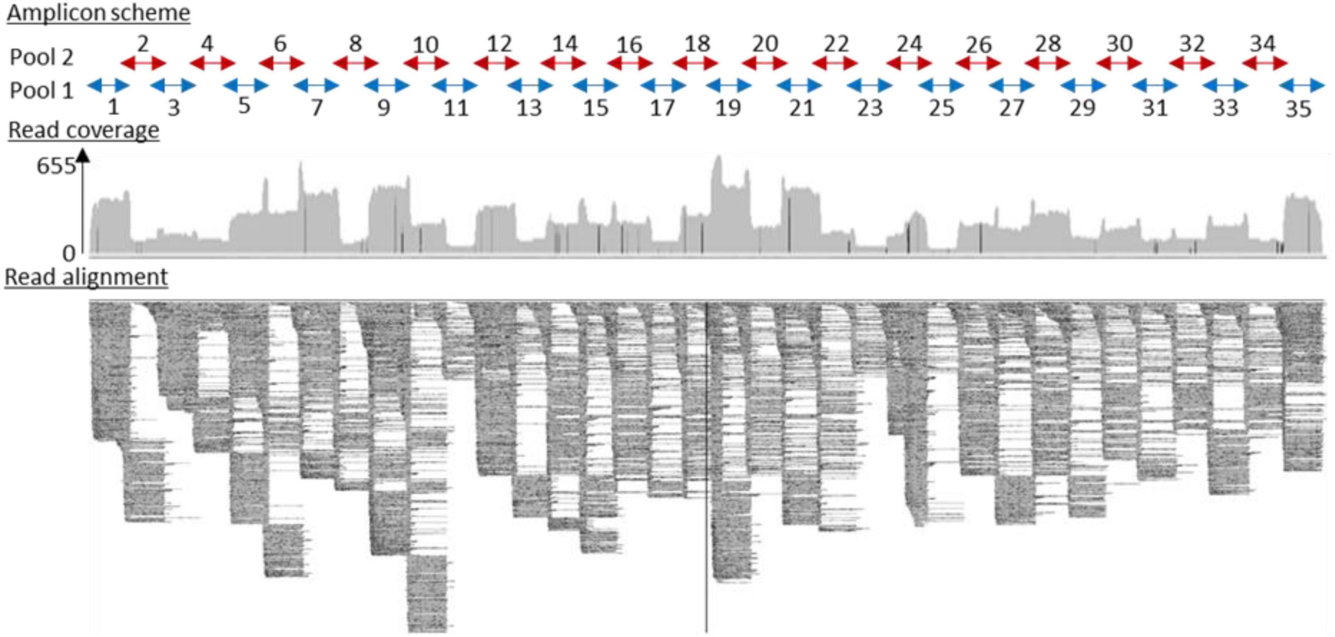 Frontiers  A One-Health Approach to Investigating an Outbreak of  Alimentary Tick-Borne Encephalitis in a Non-endemic Area in France (Ain,  Eastern France): A Longitudinal Serological Study in Livestock, Detection  in Ticks, and