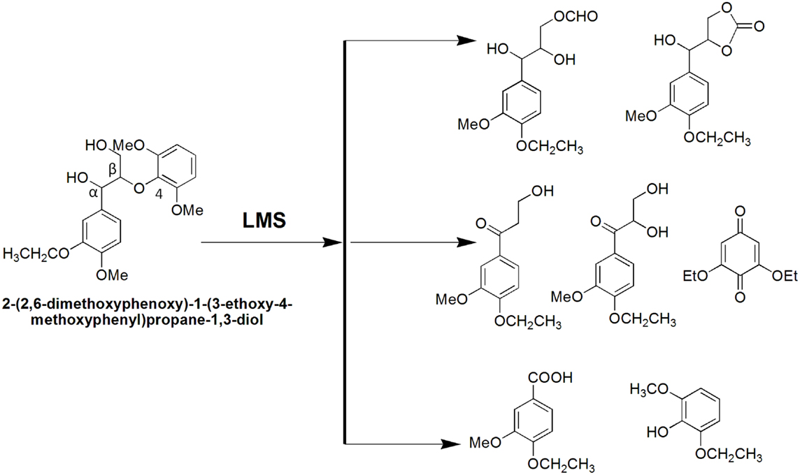 Graphene Facilitated Removal of Labetalol in Laccase-ABTS System: Reaction  Efficiency, Pathways and Mechanism