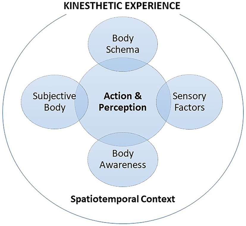 The Promotion of Empathy for the Experience of Users with Visual