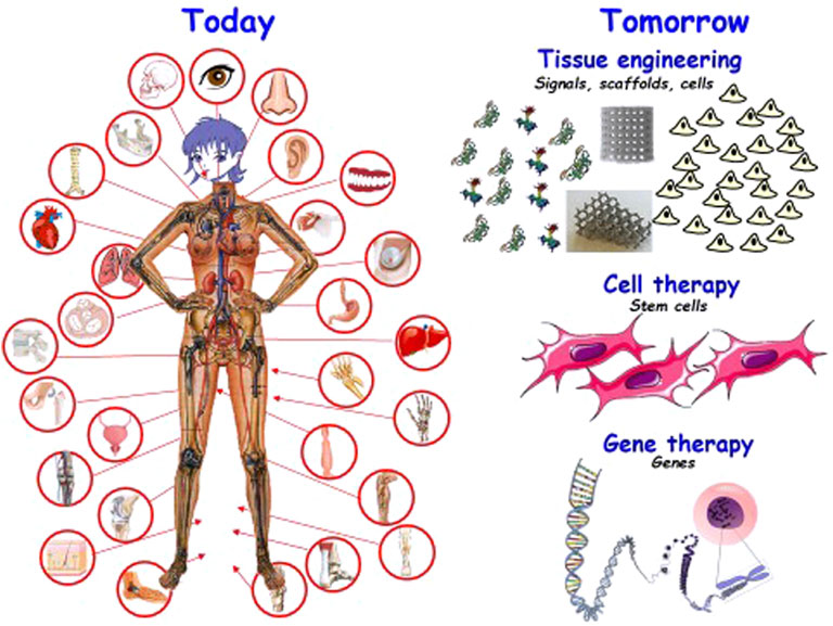 Polymeric Biomaterials for Medical Implants and Devices