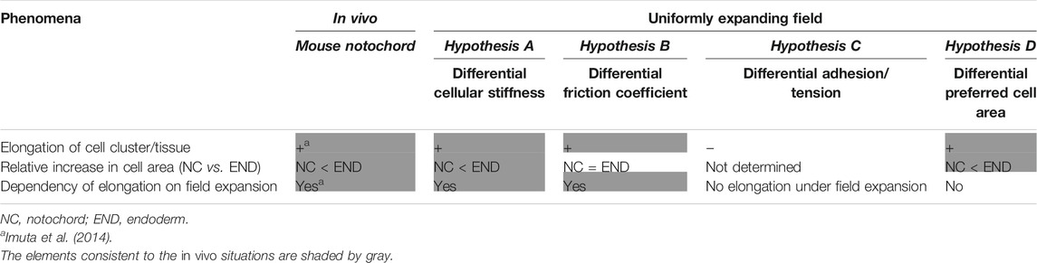 Differential cellular stiffness contributes to tissue elongation on an  expanding surface