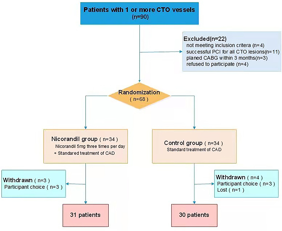 2- and 3-Dimensional Myocardial Strain in Cardiac Health and