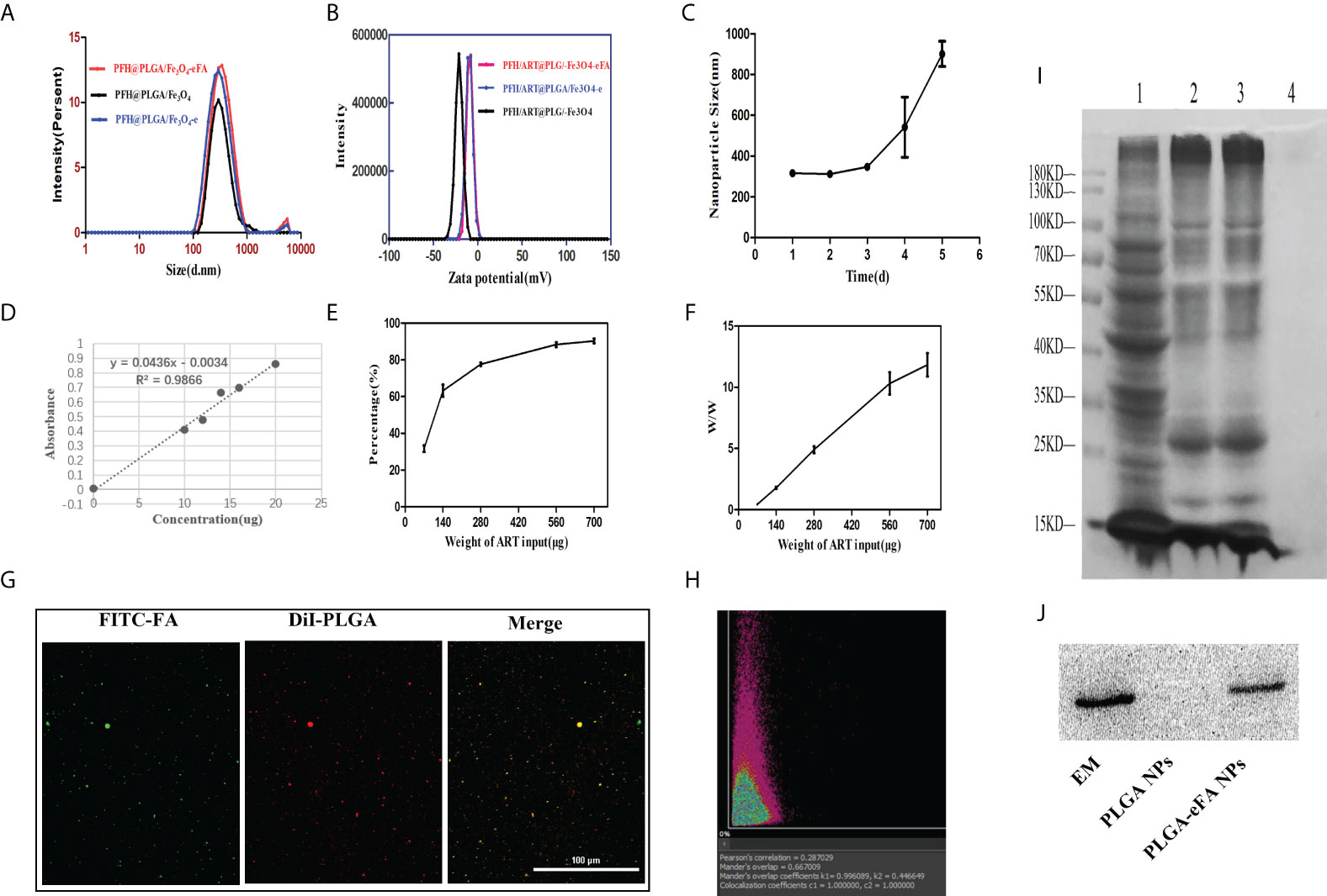 Frontiers | Folate-modified erythrocyte membrane nanoparticles 