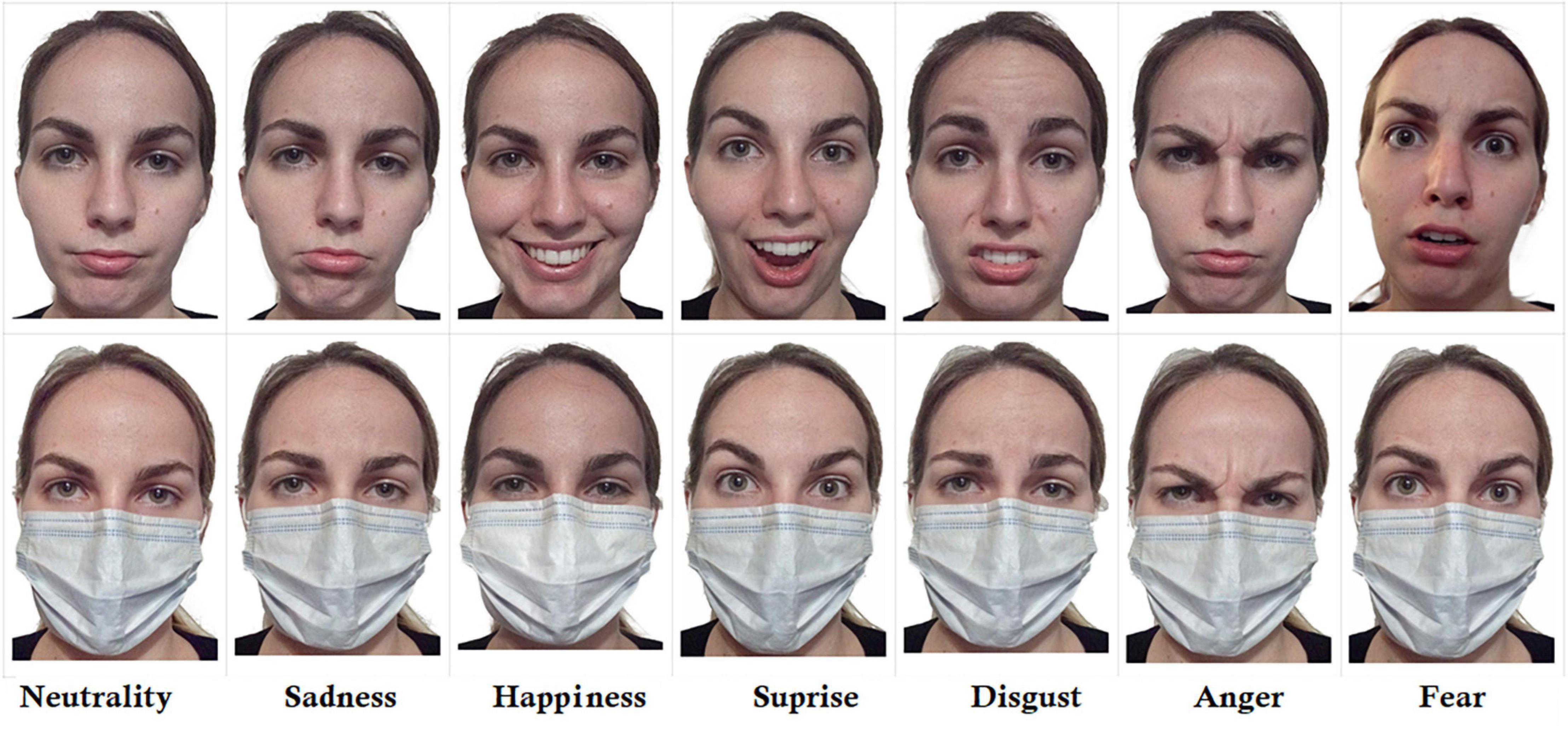 Frontiers The Recognition of Facial Expressions Under Surgical Masks The Primacy of Anger photo
