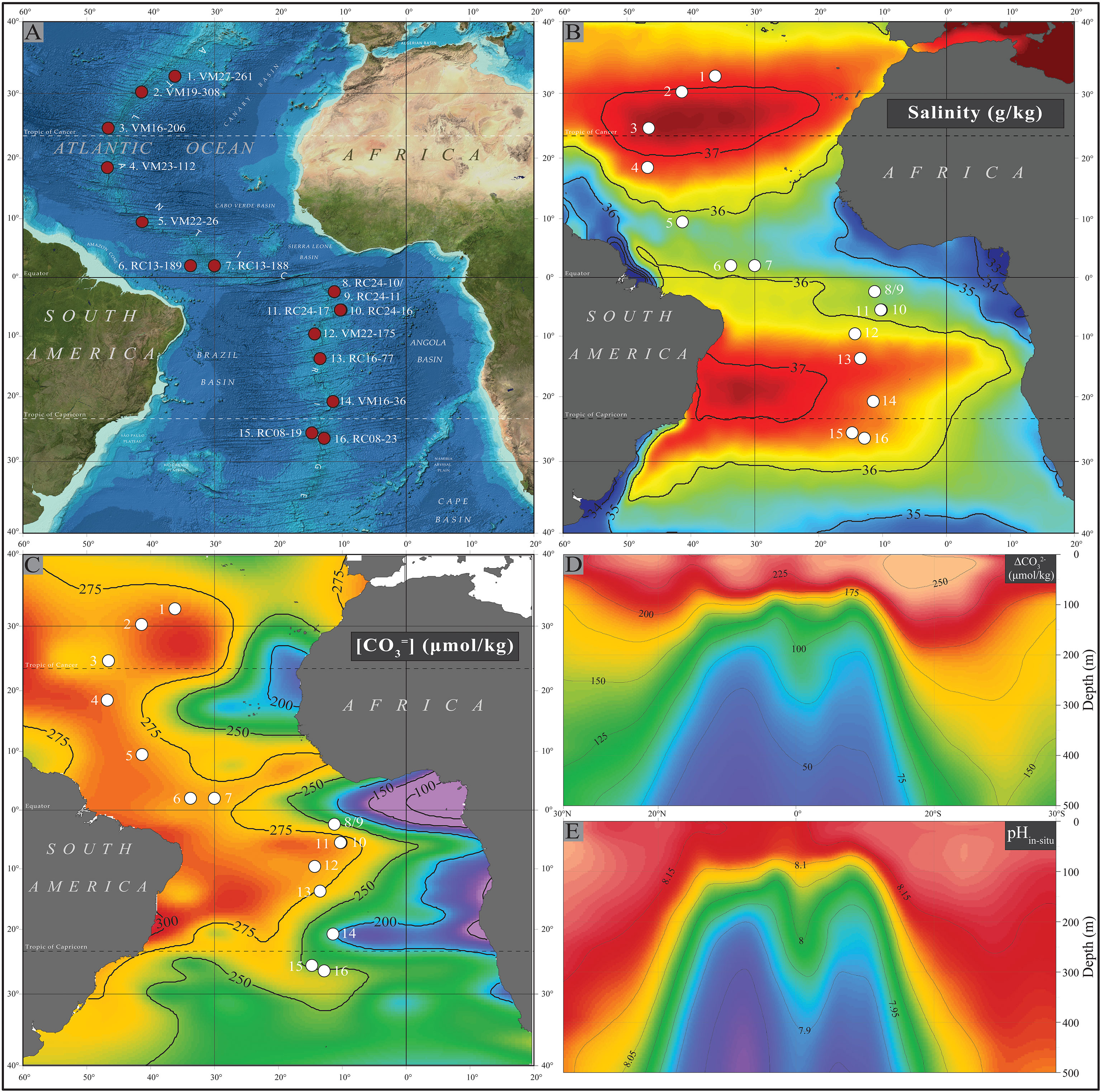 Frontiers Calcification Dissolution And Test Properties Of Modern